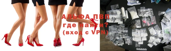 ECSTASY Алзамай