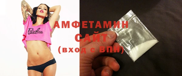 ECSTASY Алзамай