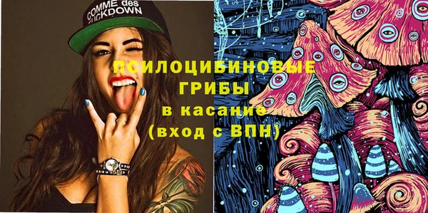 тгк Алексин